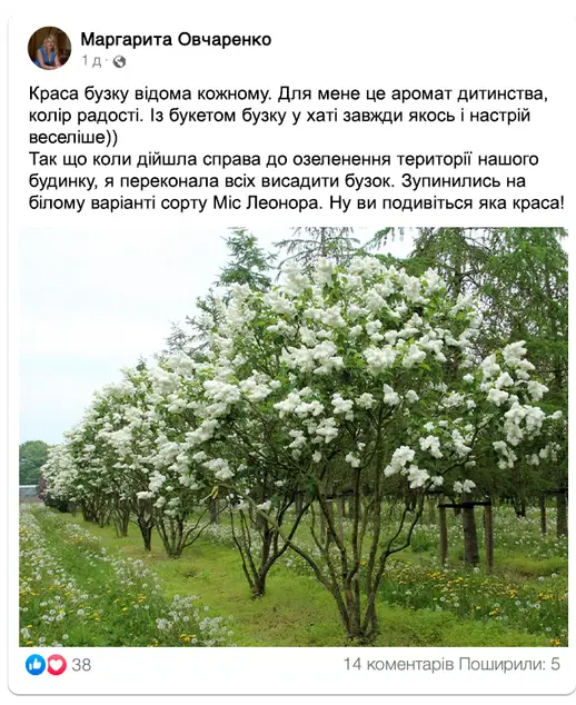 Заголовок